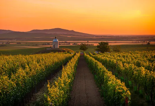 彩经网官网 背景